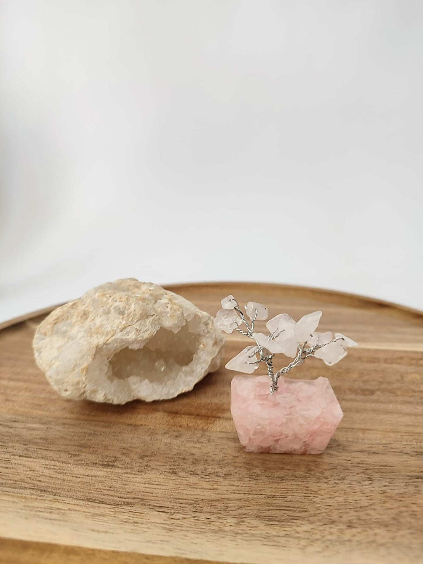 Mini Árvores da Felicidade com Pedras Naturais