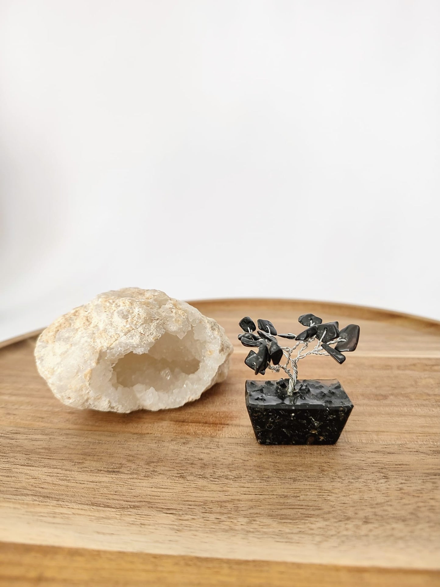 Mini Árvores da Felicidade com Pedras Naturais