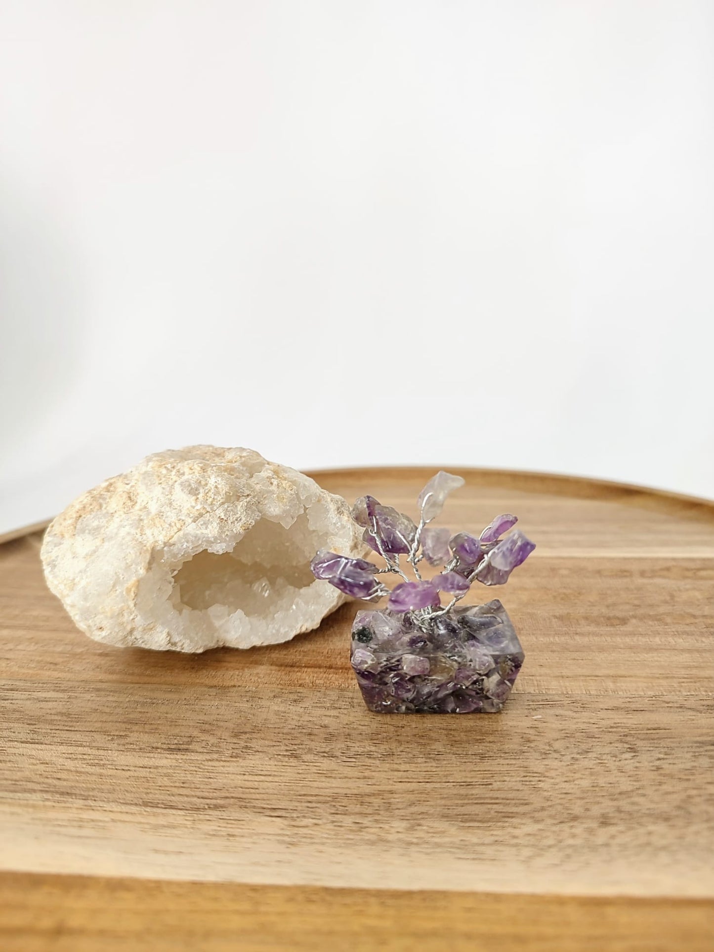 Mini Árvores da Felicidade com Pedras Naturais