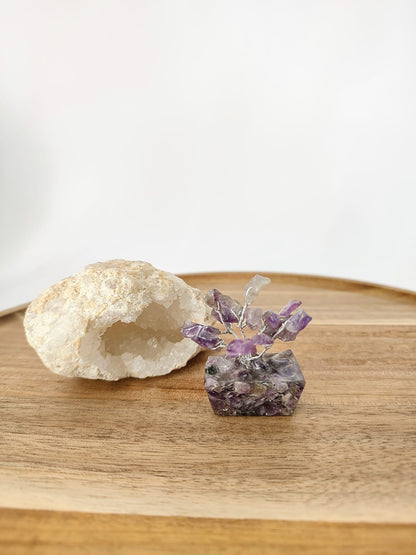 Mini Árvores da Felicidade com Pedras Naturais